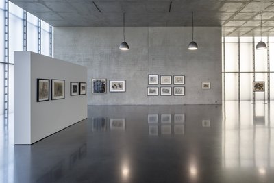 Exhibition view ground floor Kunsthaus Bregenz, 2024